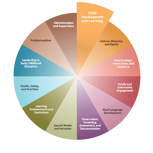 California Early Childhood Educator Competencies Wheel