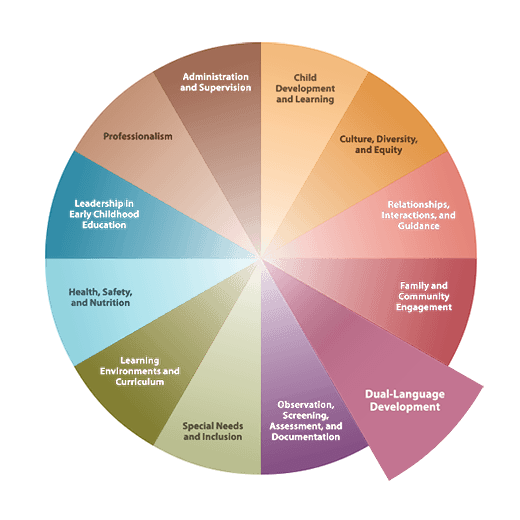 California Early Childhood Educator Competencies Wheel