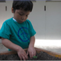 boy with plant