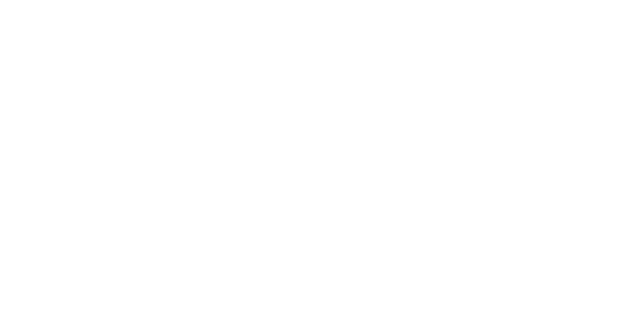 CDSS Logo